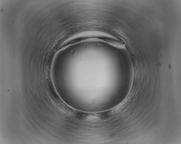 X0000070180171200606021041