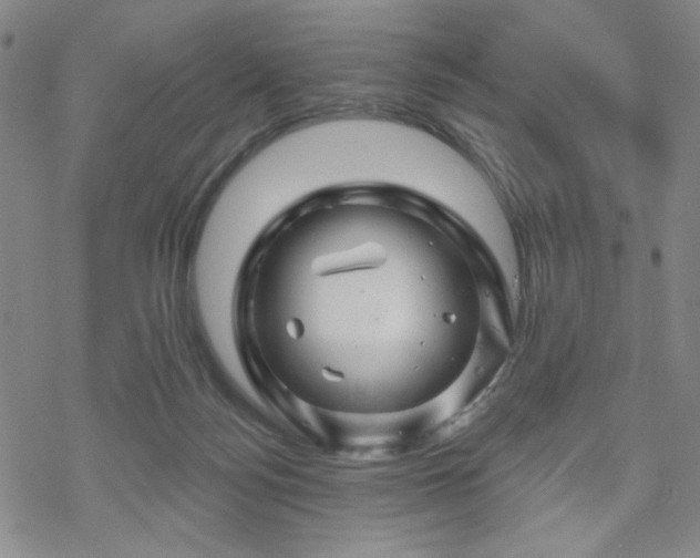 X0000070180172200606021041