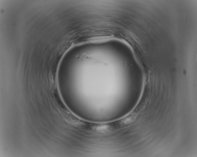 X0000070180173200606021041