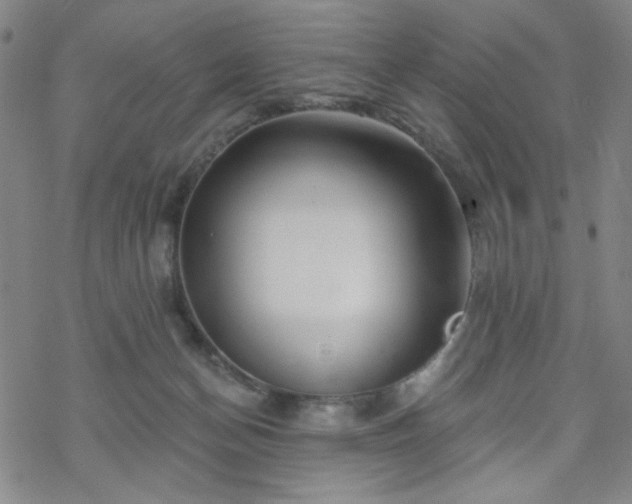 X0000070180174200606021041