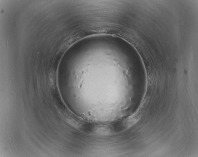 X0000070180175200606021041