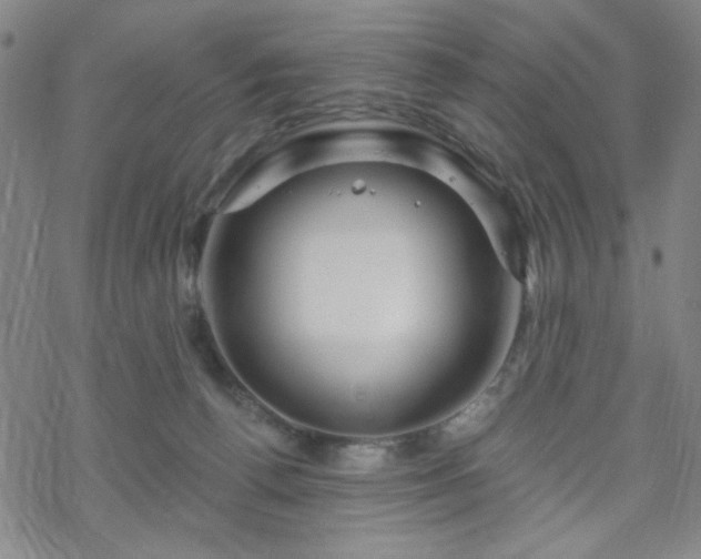 X0000070180176200606021041