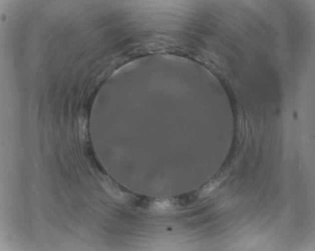 X0000070180177200606021041