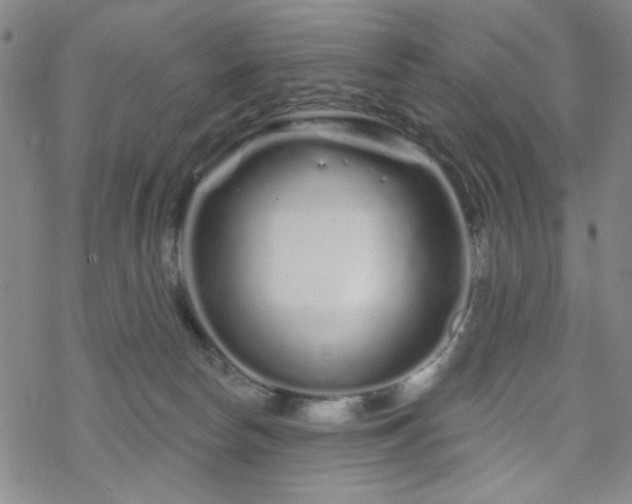 X0000070180178200606021041