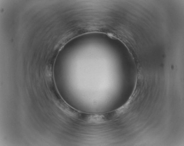 X0000070180179200606021041