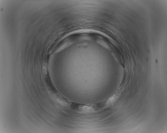 X0000070180180200606021041