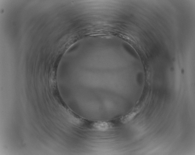 X0000070180181200606021041