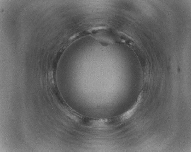 X0000070180182200606021041