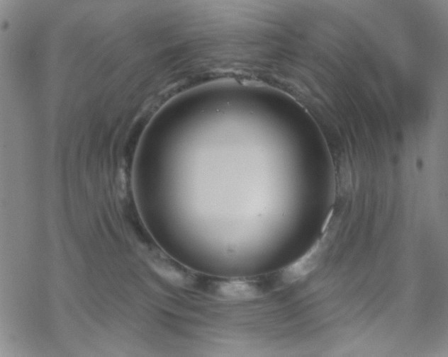 X0000070180183200606021041