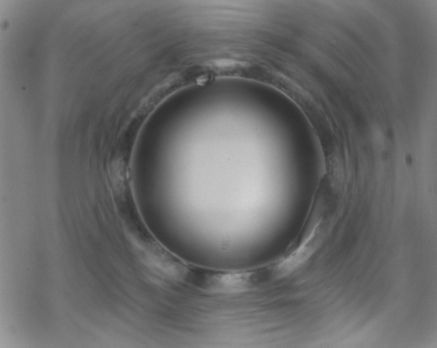 X0000070180184200606021041