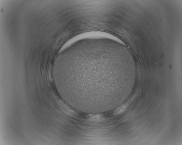 X0000070180185200606021041