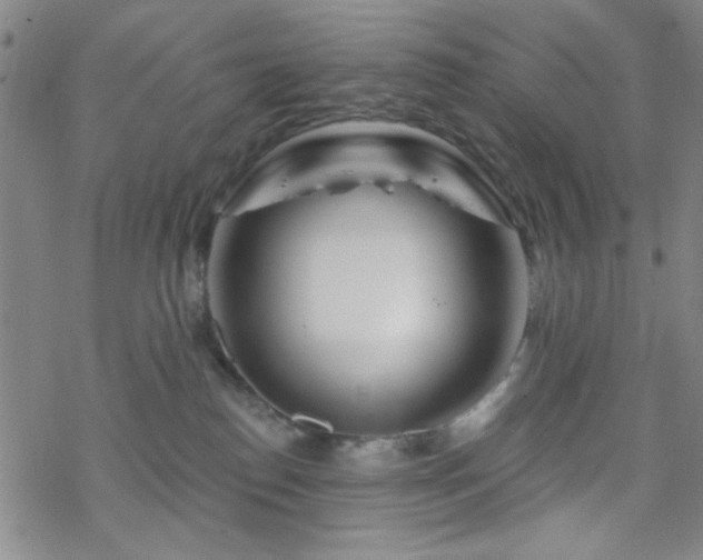 X0000070180186200606021041