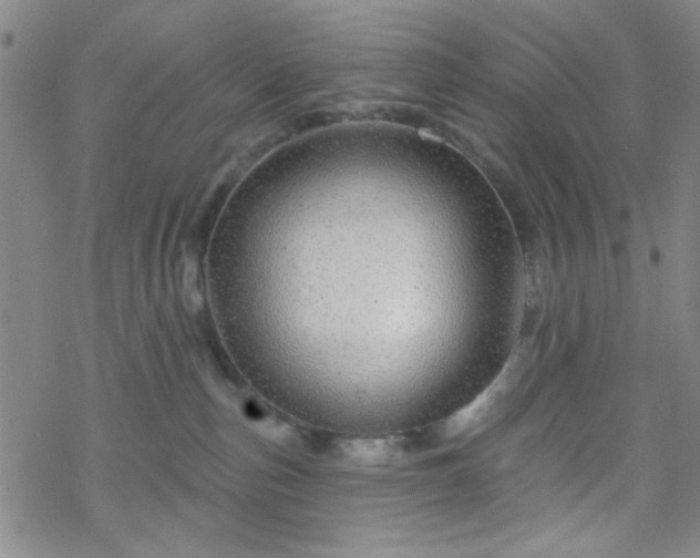 X0000070180187200606021041