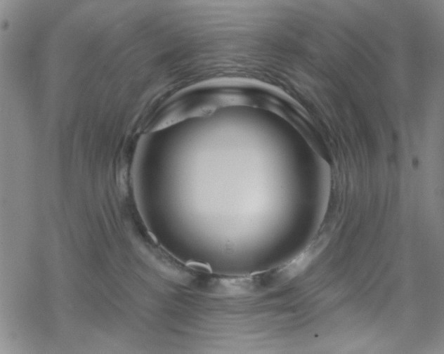 X0000070180188200606021041