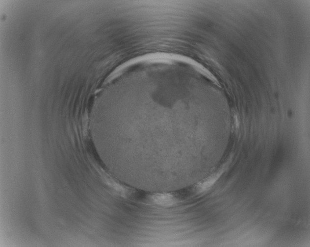 X0000070180189200606021041