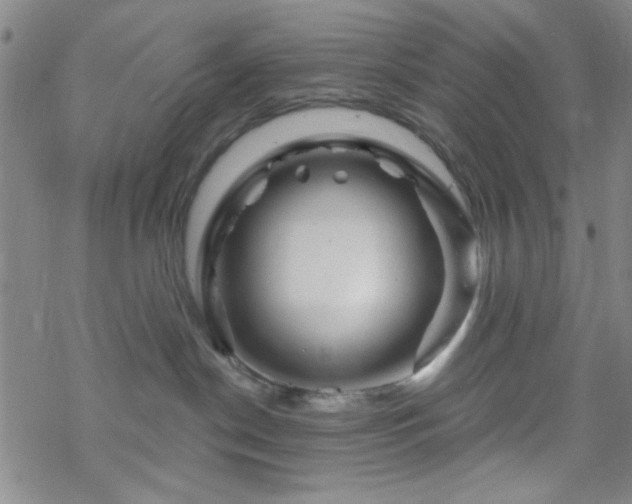 X0000070180190200606021041