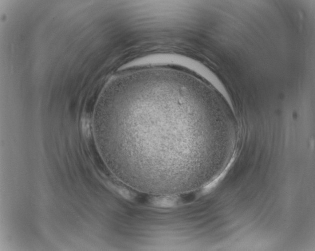 X0000070180191200606021042