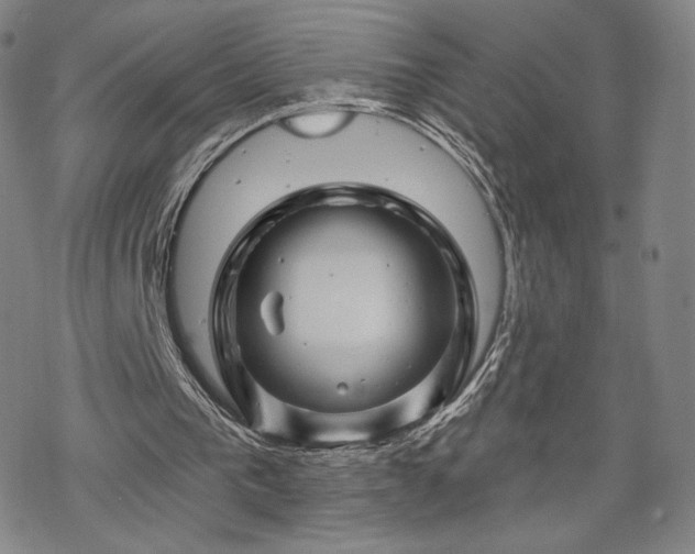 X0000070180193200606021041