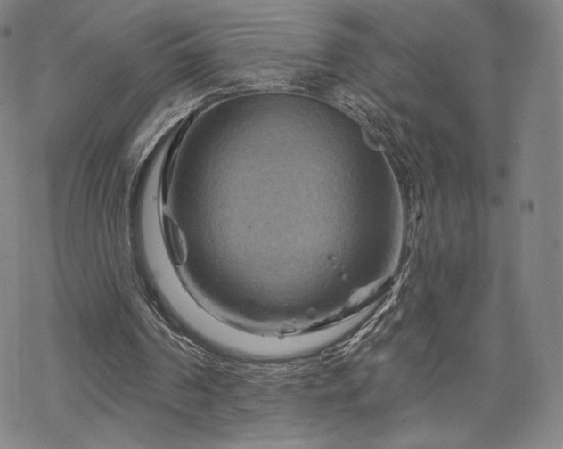 X0000070180194200606021041