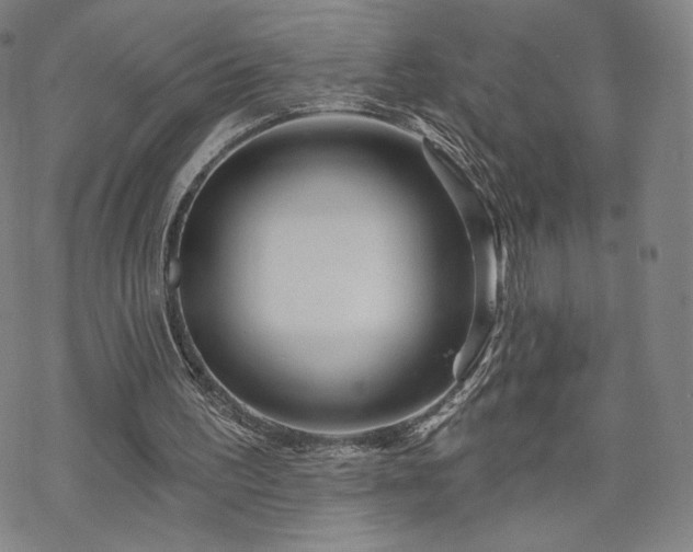 X0000070180195200606021041