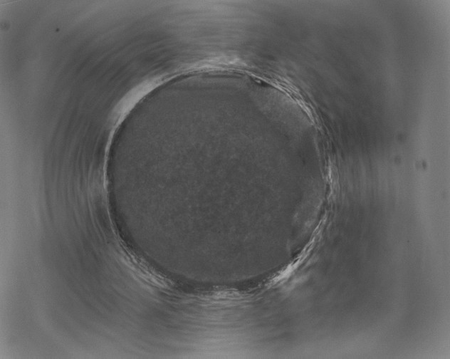 X0000070180196200606021041