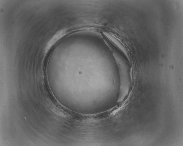 X0000070180198200606021041