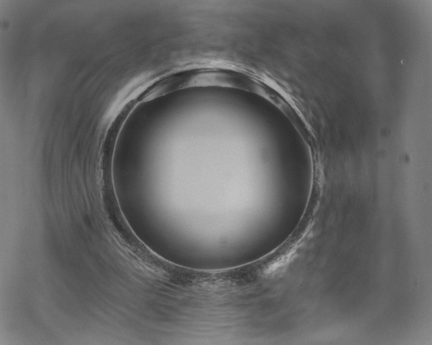 X0000070180199200606021041