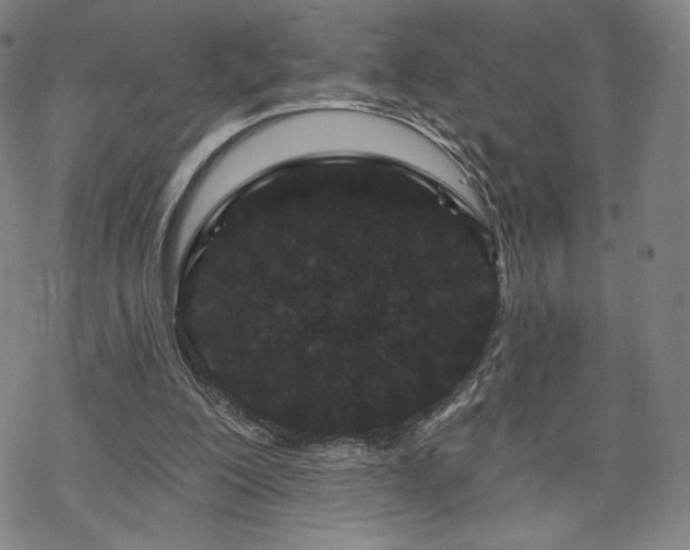 X0000070180200200606021041