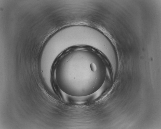 X0000070180201200606021041