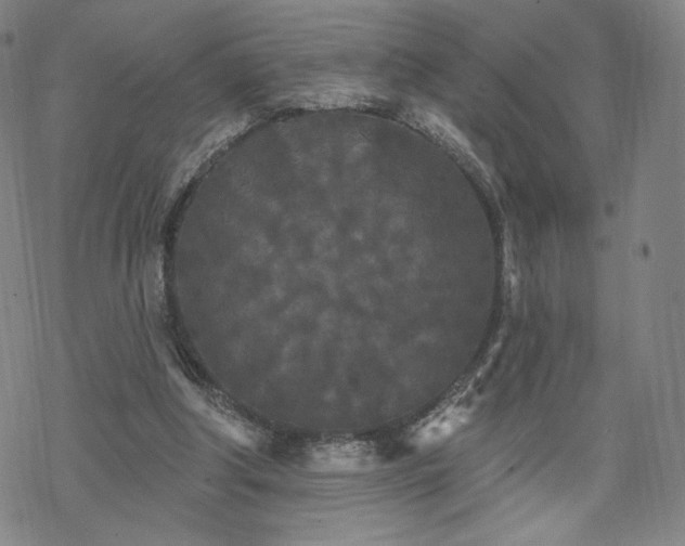 X0000070180202200606021041