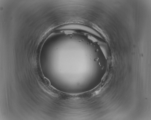 X0000070180203200606021041