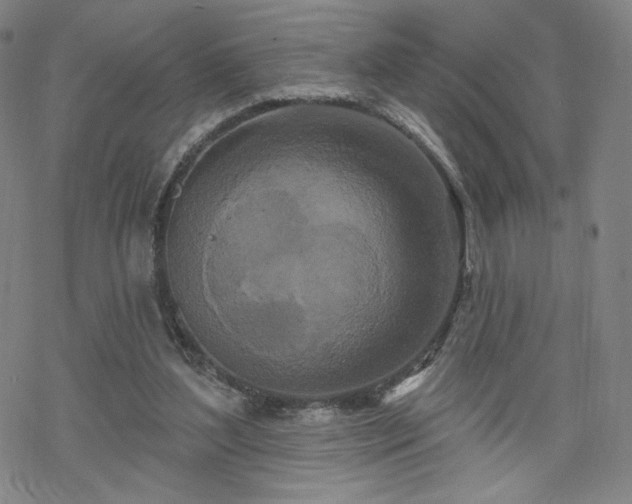 X0000070180204200606021041