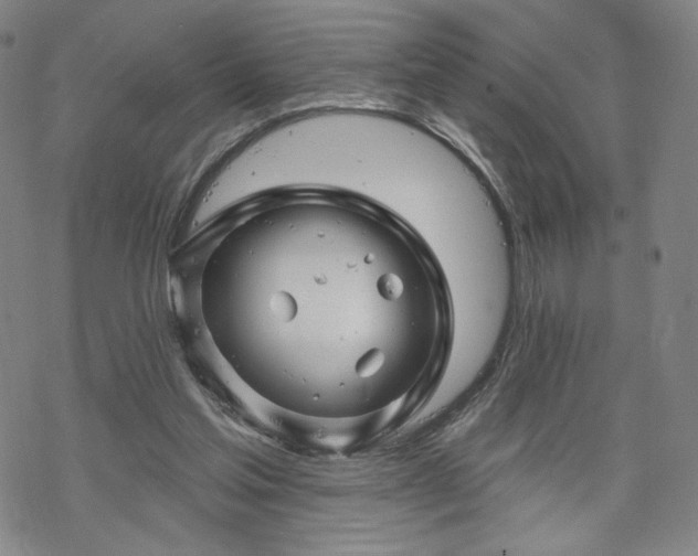 X0000070180205200606021041