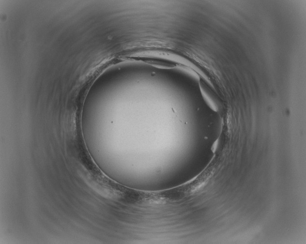 X0000070180206200606021041