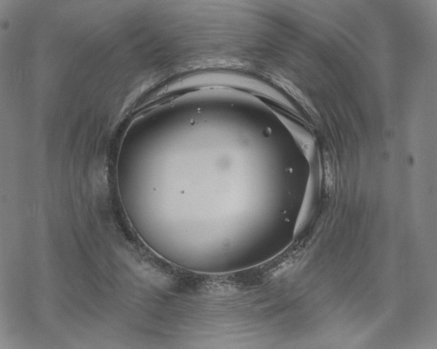 X0000070180207200606021041