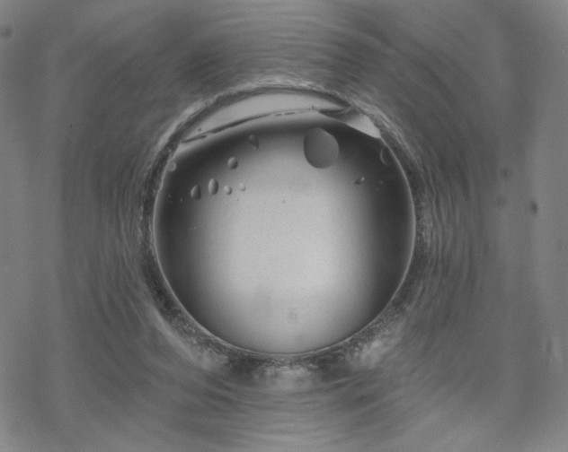 X0000070180208200606021040