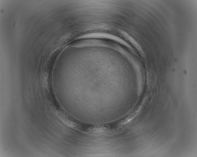 X0000070180209200606021040