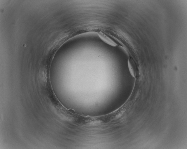 X0000070180210200606021040