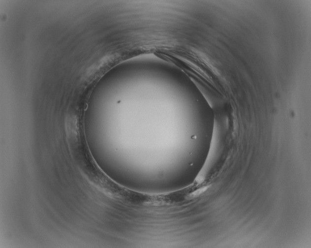 X0000070180211200606021040