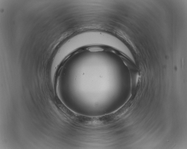 X0000070180212200606021040