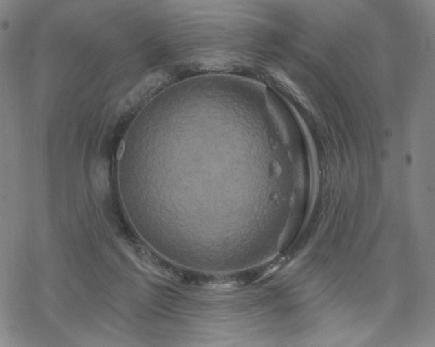 X0000070180213200606021040