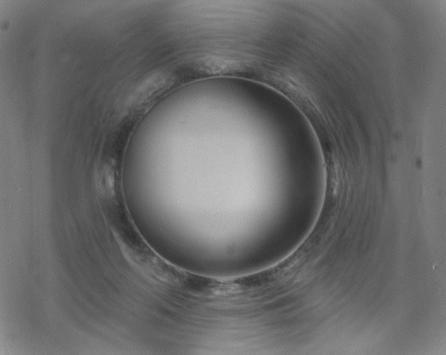 X0000070180214200606021040