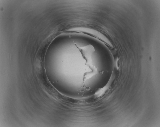 X0000070180215200606021040