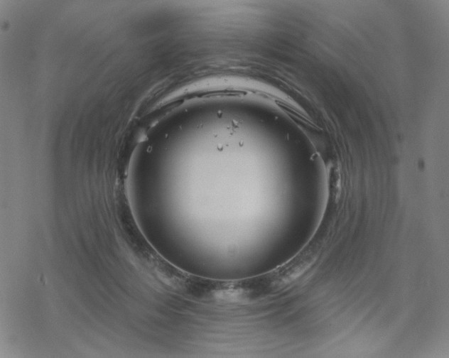 X0000070180216200606021040