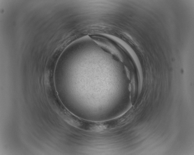 X0000070180217200606021040