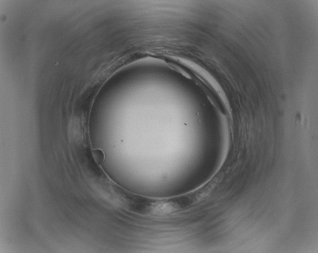 X0000070180218200606021040