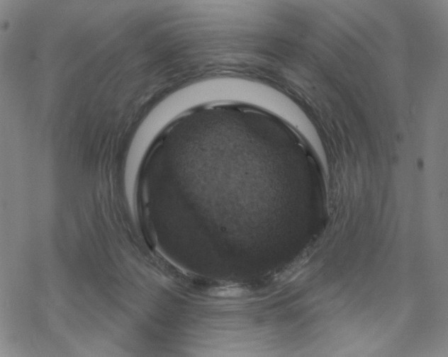 X0000070180219200606021040