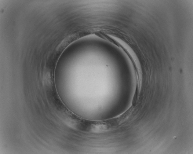 X0000070180220200606021040