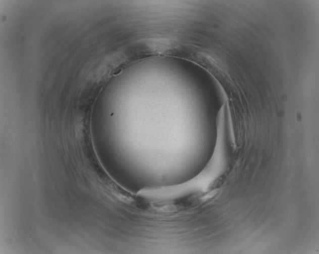 X0000070180221200606021040