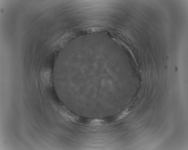 X0000070180222200606021040